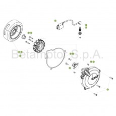 Beta EVO250 Factory 17 Zündanlage