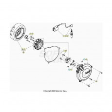 Beta  EVO250 Factory 21 Zündanlage