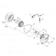 Beta EVO250 14 Zündanlage