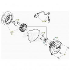 Beta EVO300 2T 20 Zündanlage