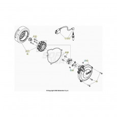 Beta EVO300 2T 24 Zündanlage