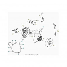 Beta EVO300 4T 24 Zündanlage