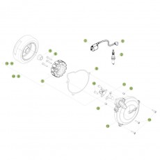 Beta EVO300 Factory 16 Zündanlage