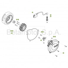 Beta EVO300 Factory 17 Zündanlage