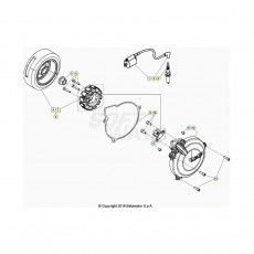 Beta EVO300 Factory 20 Zündanlage