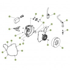 Beta EVO300 Factory 4T 16 Zündanlage