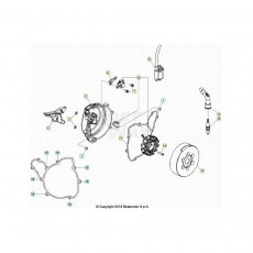 Beta EVO300 Factory 4T 24 Zündanlage