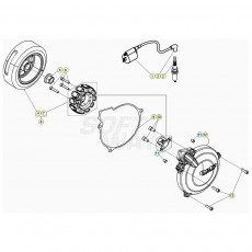 Beta EVO300 SS 20 Zündanlage