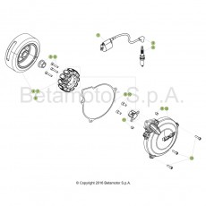 Beta EVO300 SS Factory 17 Zündanlage