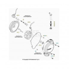Beta RR200 20 Zündanlage