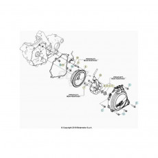 Beta RR250RC 26 Zündanlage