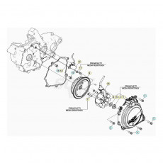 Beta RR300RC 20 Zündanlage