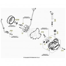 Beta RR350 26 Zündanlage