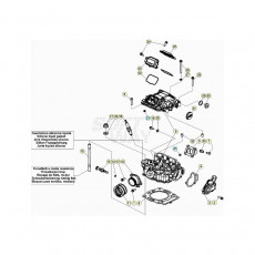 Beta EVO300 4T 20 Zylinder/Zylinderkopf/Ventiltrieb 1