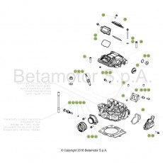 Beta EVO300 Factory 4T 17 Zylinder/Zylinderkopf/Ventiltrieb 1