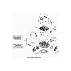 Beta EVO300 Factory 4T 20 Zylinder/Zylinderkopf/Ventiltrieb 1