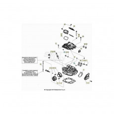 Beta EVO300 Factory 4T 21 Zylinder/Zylinderkopf/Ventiltrieb 1