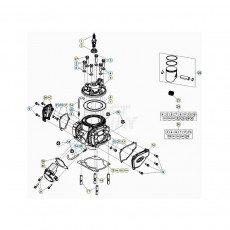 Beta RR250 21 Zylinder/Zylinderkopf/Ventiltrieb