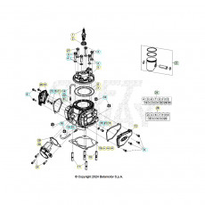Beta RR250 26 Zylinder/Zylinderkopf/Ventiltrieb