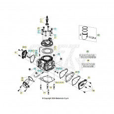 Beta RR300 25 Zylinder/Zylinderkopf/Ventiltrieb
