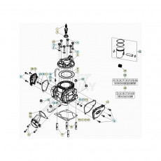 Beta RR300RC 20 Zylinder/Zylinderkopf/Ventiltrieb