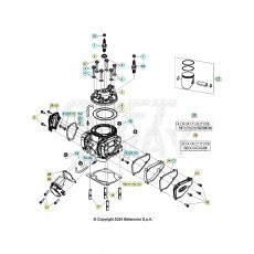 Beta RR300RC 26 Zylinder/Zylinderkopf/Ventiltrieb