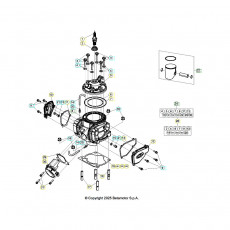 Beta RX250 27 Zylinder/Zylinderkopf/Ventiltrieb