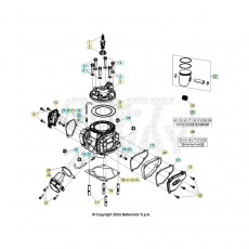 Beta RX300 25 Zylinder/Zylinderkopf/Ventiltrieb