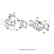 Beta EVO200 17 Vergaser 1