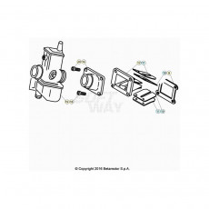 Beta  EVO250 Factory 20 Vergaser 1