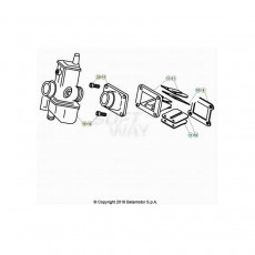 Beta  EVO250 Factory 21 Vergaser 1