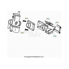 Beta EVO300 Factory 20 Vergaser 1