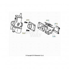 Beta EVO300 SS 22 Vergaser 1