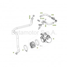 Beta RR350 Racing 17 Kraftstoffeinspritzung
