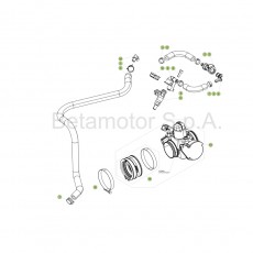 Beta RR430 Racing 17 Kraftstoffeinspritzung