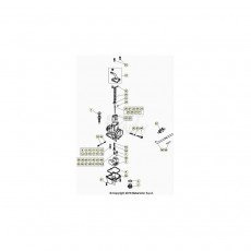 Beta EVO250 24 Vergaser 2