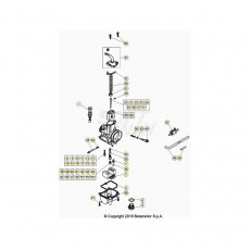 Beta EVO250 20 Vergaser 2