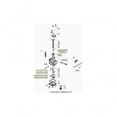 Beta EVO300 2T 23 Vergaser 2