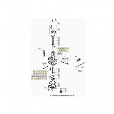 Beta EVO300 Factory 20 Vergaser 2