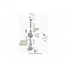 Beta EVO300 SS 22 Vergaser 2