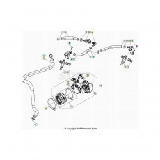 Beta RR430RC 21 4T Kraftstoffeinspritzung