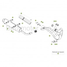 Beta RR250 Racing 17 Auspuffsystem