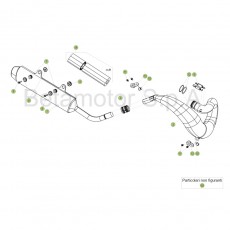 Beta RR300 17 Auspuffsystem