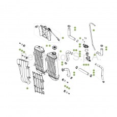 Beta RR300 RC 17 Kühlsystem