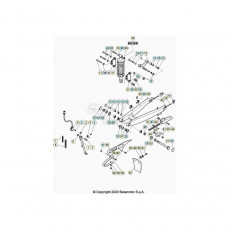 Beta Alp 200 20 Schwingarm/Federbein