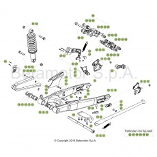Beta EVO250 17 Schwingarm/Federbein 1