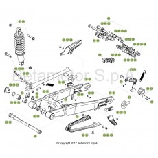 Beta EVO250 4T 18 Schwingarm/Federbein 1