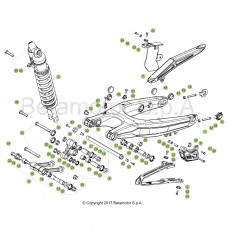 Beta RR250 19 Schwingarm/Federbein 1