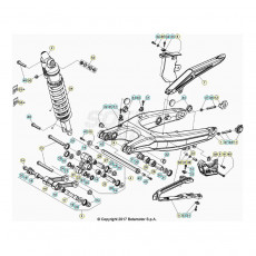 Beta Xtrainer300 21 Schwingarm/Federbein 1