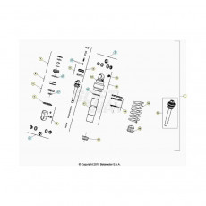 Beta EVO250 21 Schwingarm/Federbein 2